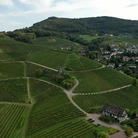 Renatas Sasbachwalden