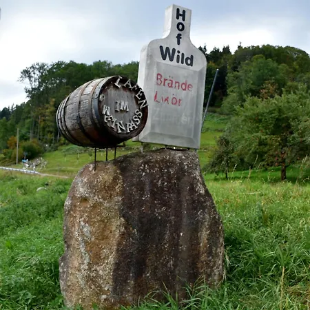 Appartamento Renatas Sasbachwalden