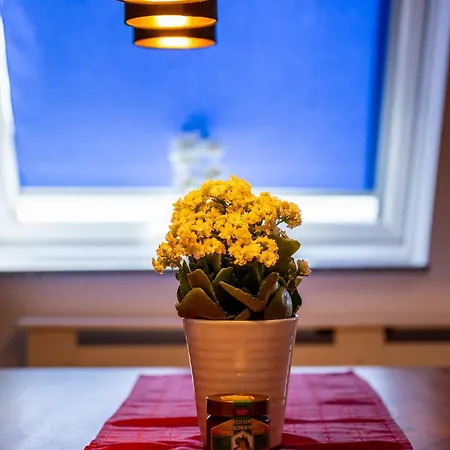 Renatas Sasbachwalden