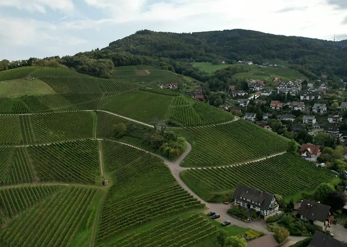 Renatas Sasbachwalden