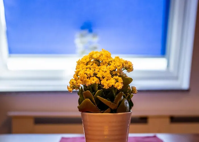 Renatas Sasbachwalden